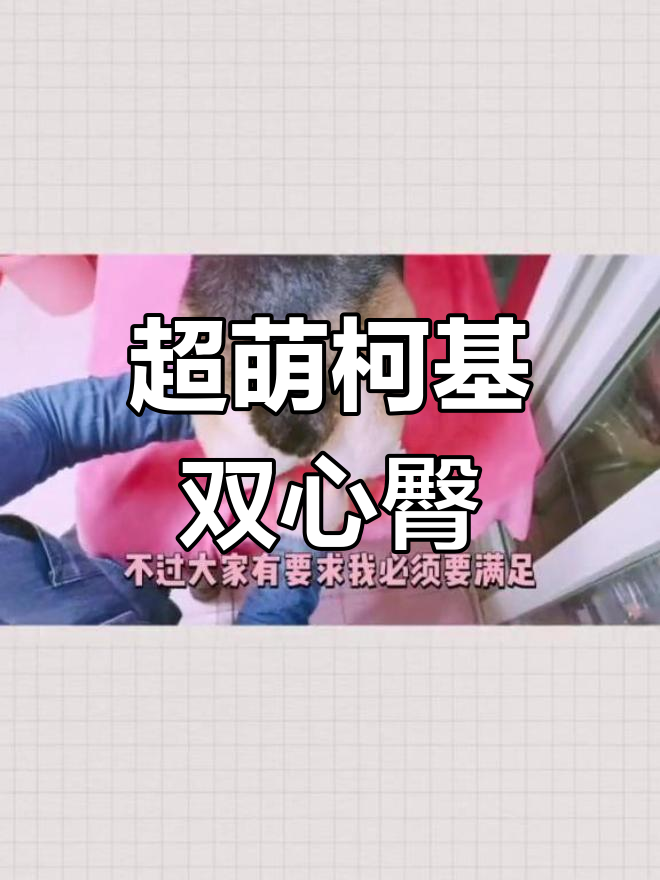 柯基双心蜜桃臀,轻松打造可爱造型