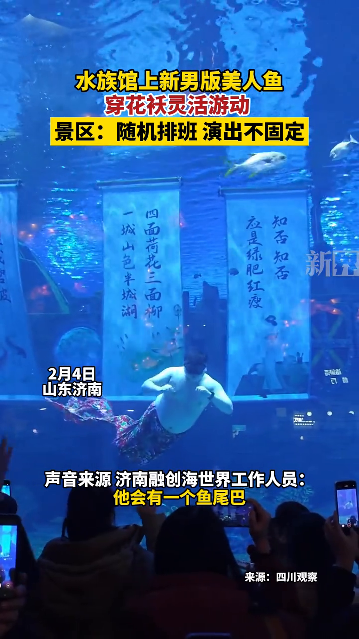 水族馆上新男版美人鱼 穿花袄灵活游动 随机排班 演出不固定