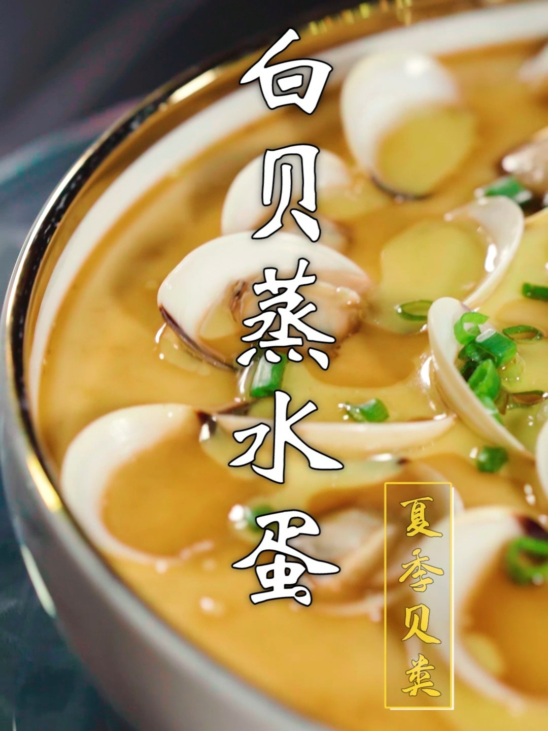 夏季贝类|白贝鲜甜,水蛋嫩滑,味道鲜极了