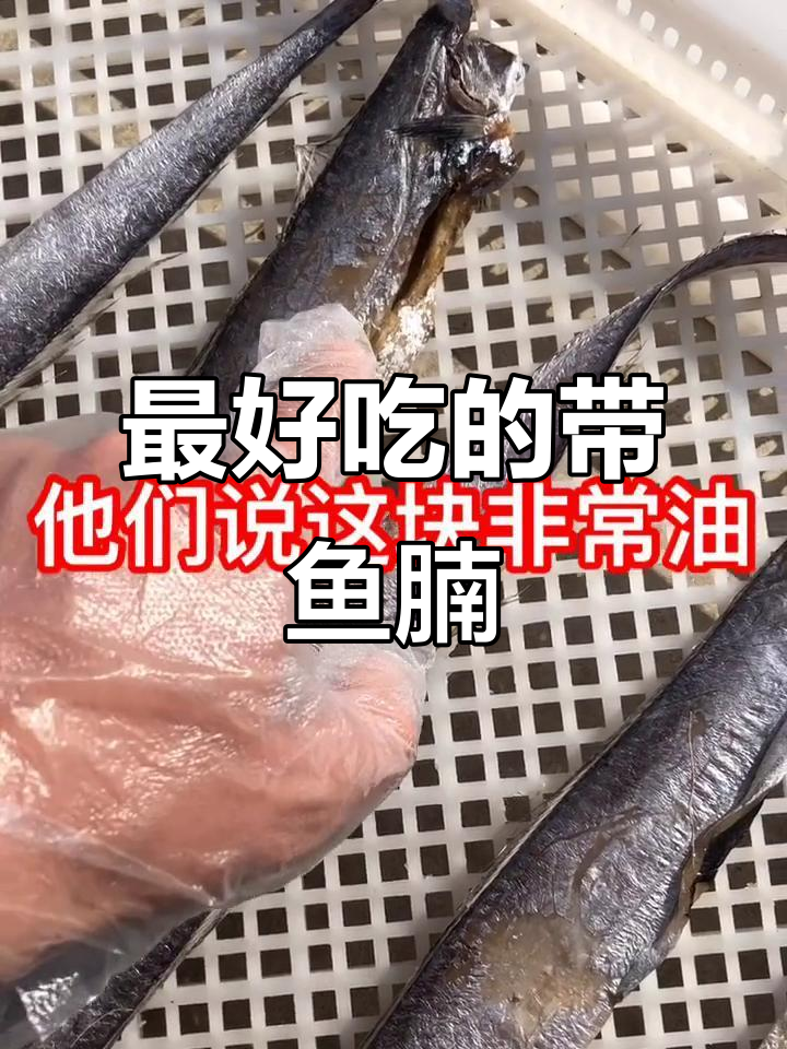 带鱼腩油脂丰富,嫩滑美味不容错过