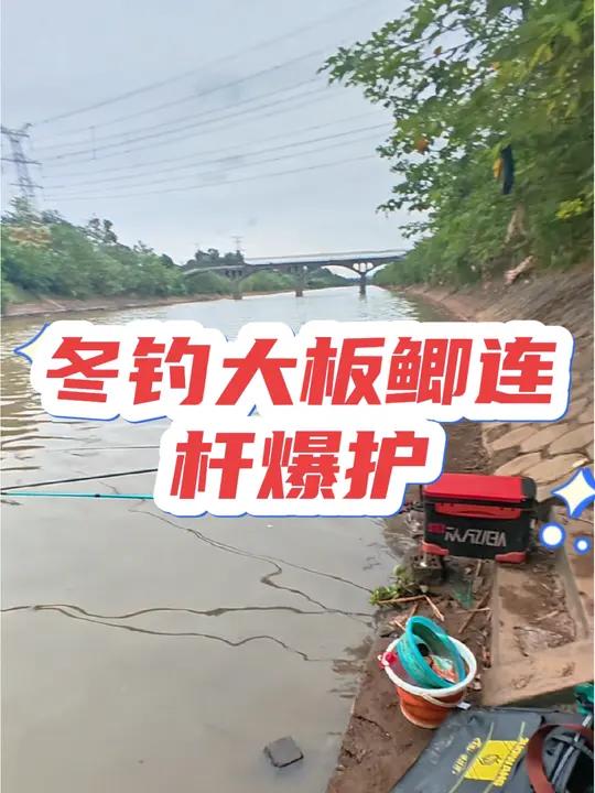 大板鲫连杆爆护的地方 网红野钓冬季垂钓大板鲫圣地,渔获位置在视频后面 最适合冬天的钓鱼经验