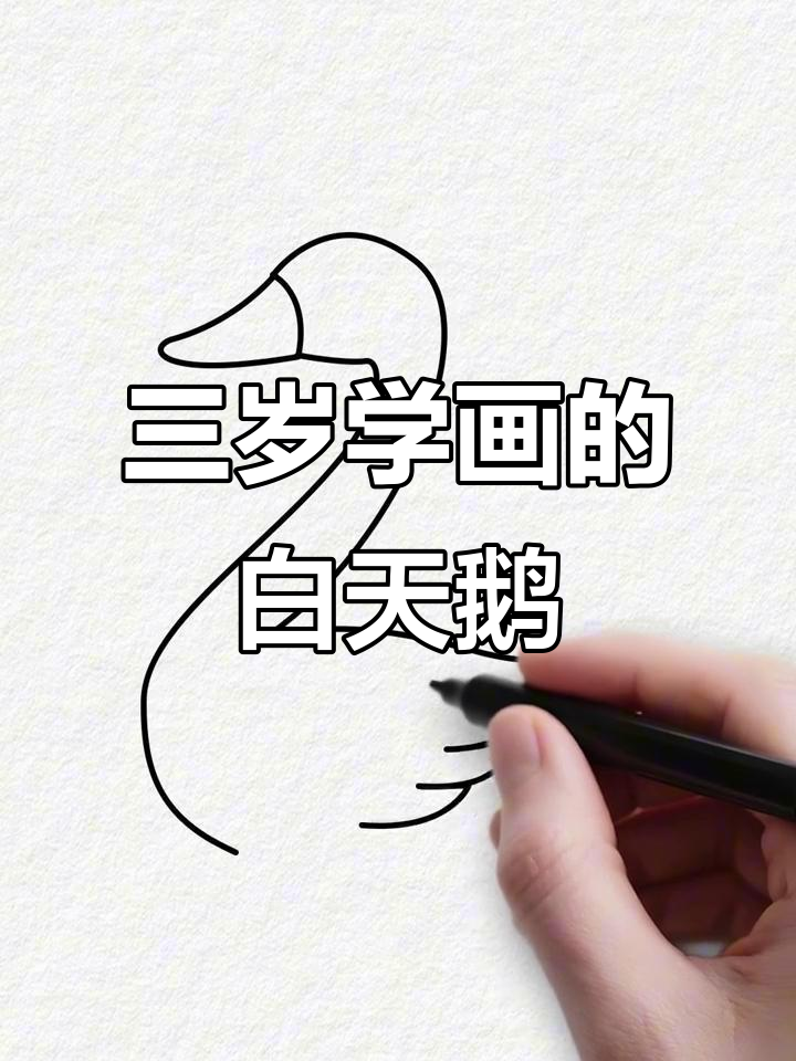 简单又好看的白天鹅画法，三岁小朋友也能轻松学会