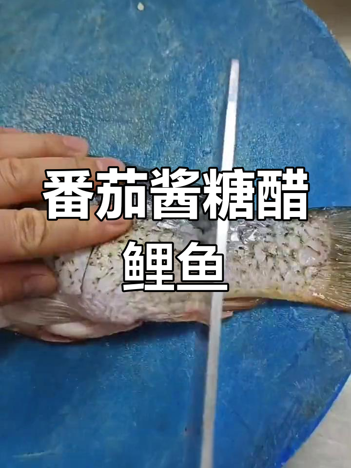用番茄酱做糖醋鲤鱼,外酥里嫩的完美口感