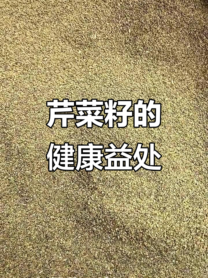 芹菜籽的秘密与功效,了解它如何帮助你健康