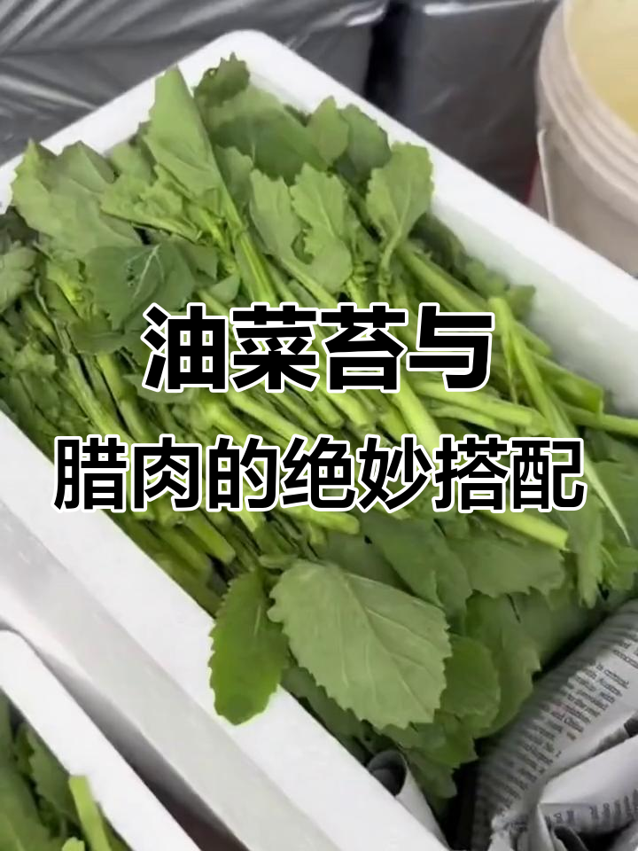 春天的油菜苔配腊肉炒,鲜嫩美味让人停不下来