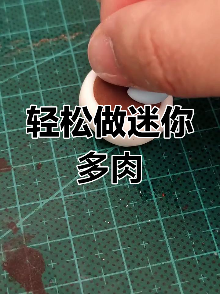 超轻粘土制作迷你多肉,简单又可爱!
