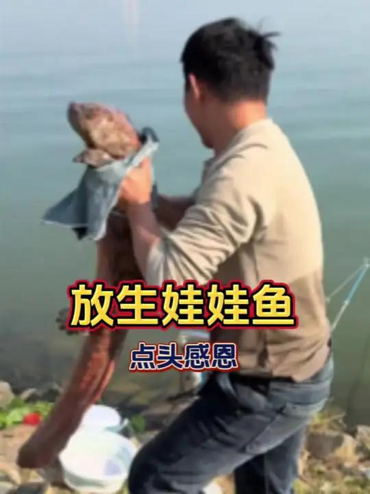 娃娃鱼突然发出啼哭声，好心老板选择放生！