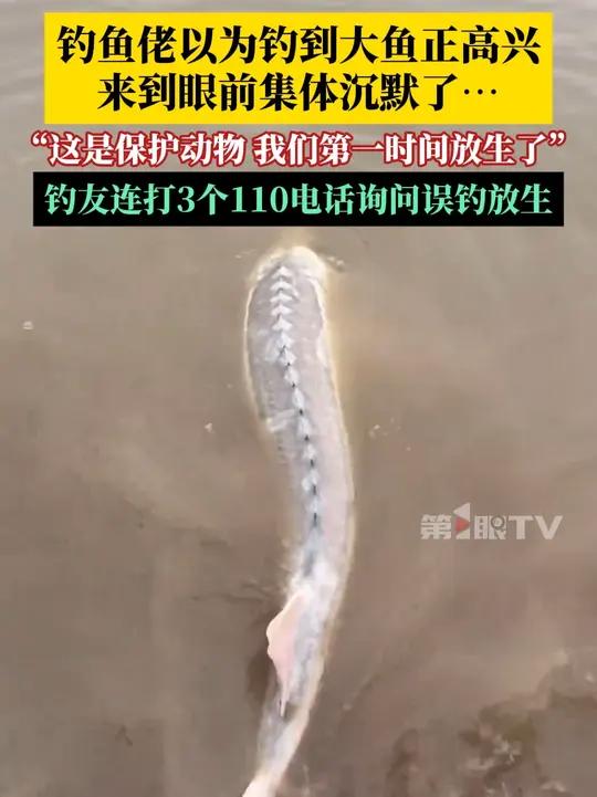 钓鱼佬以为钓到大鱼正高兴，鱼来到眼前时集体都沉默了……钓友：这是国家保护动物，我们立马就放