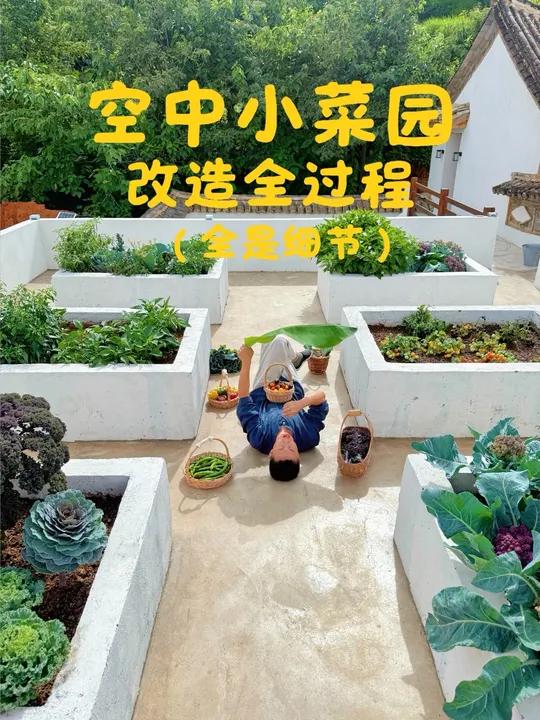 在云南改造我们的人生小菜园，一边是风景，一边是生活！