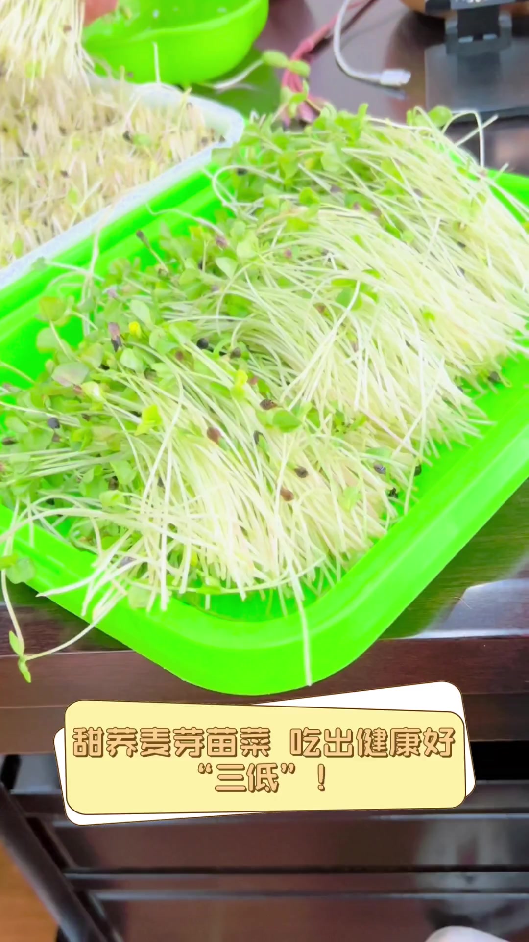 甜荞麦芽苗菜,吃出健康好“三低”!