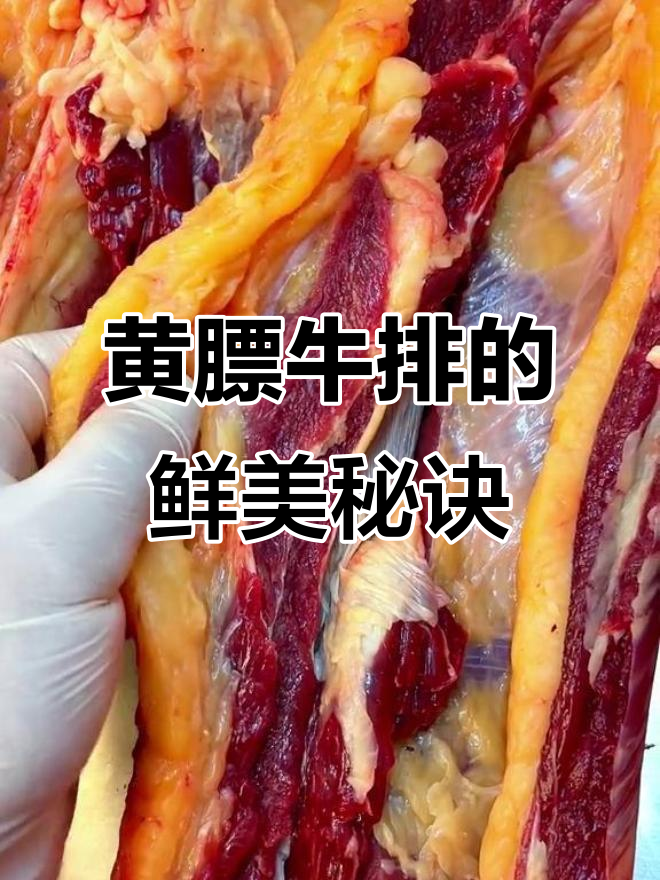呼伦贝尔黄膘牛排,清水煮才能体验高端美味