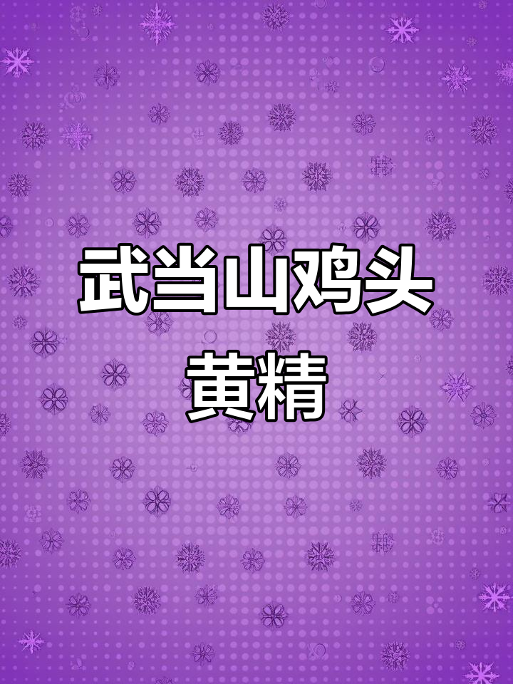 武当山鸡头黄精花开,纤细苗条的独特魅力