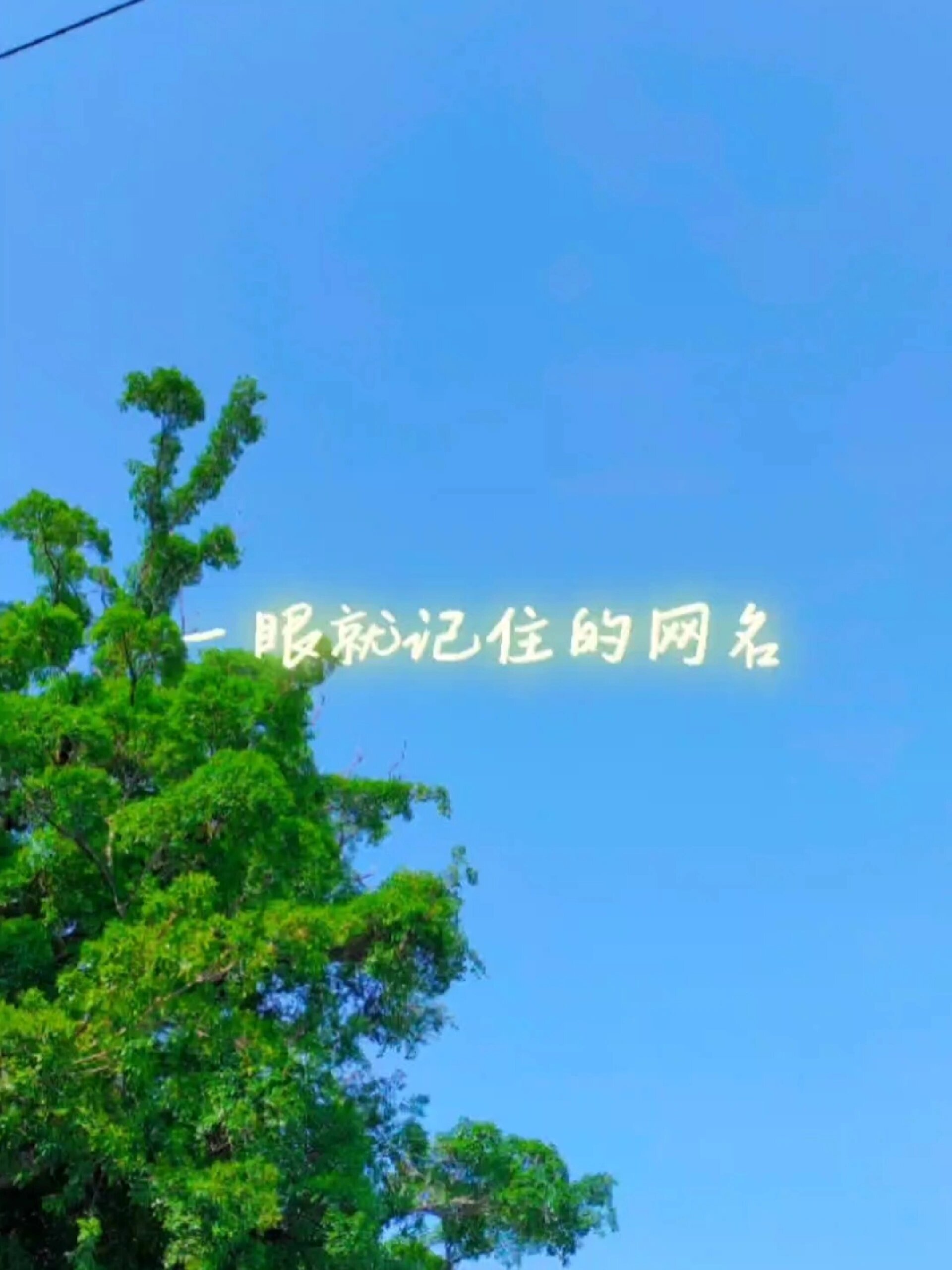 一眼就记住的网名