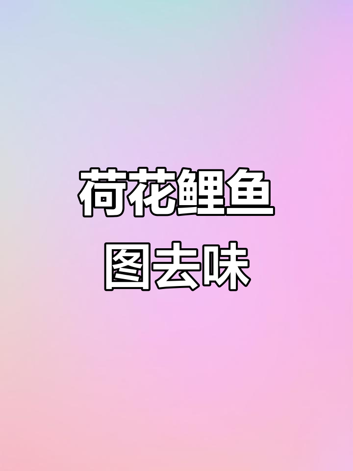 荷花鲤鱼图挂件化解厕所异味,家居装饰必备