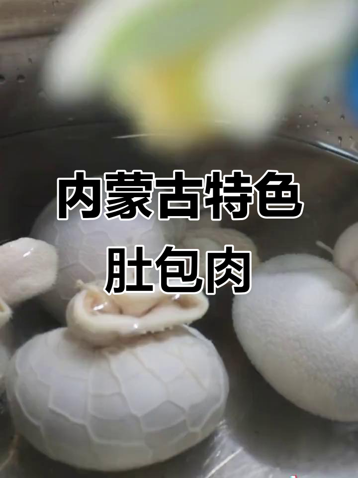 羊肚包肉,营养满满,冬季必吃美味