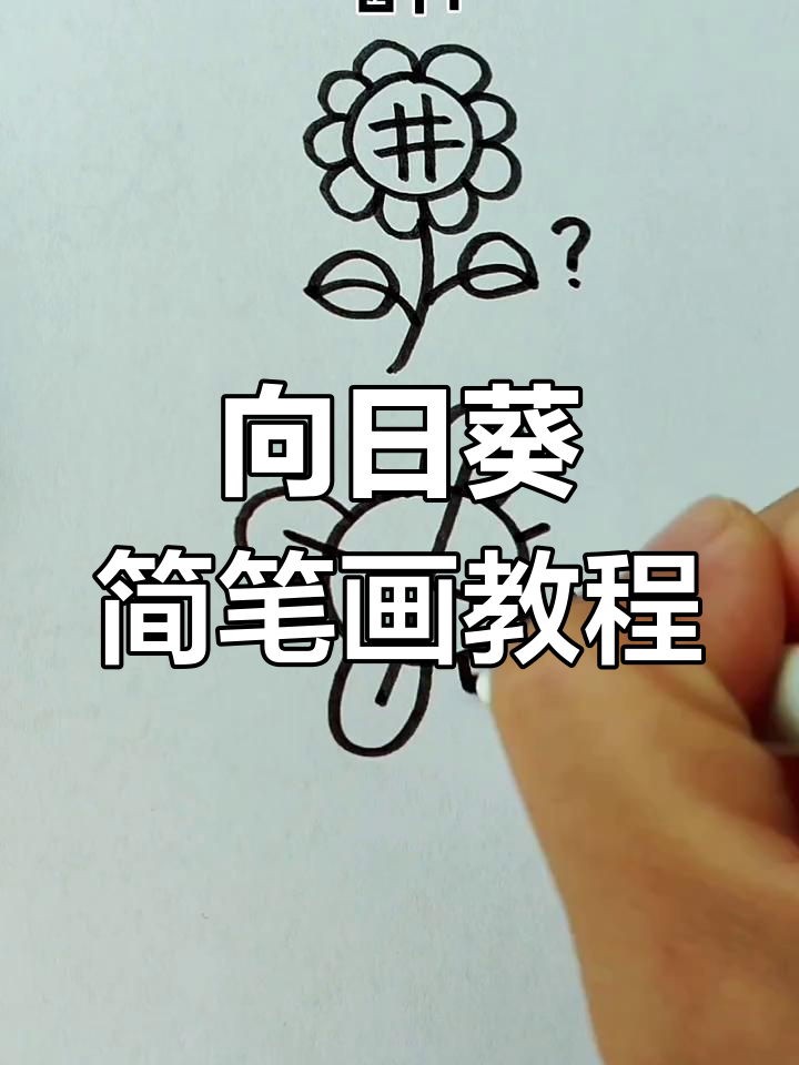 轻松画出可爱向日葵,步骤简单又有趣