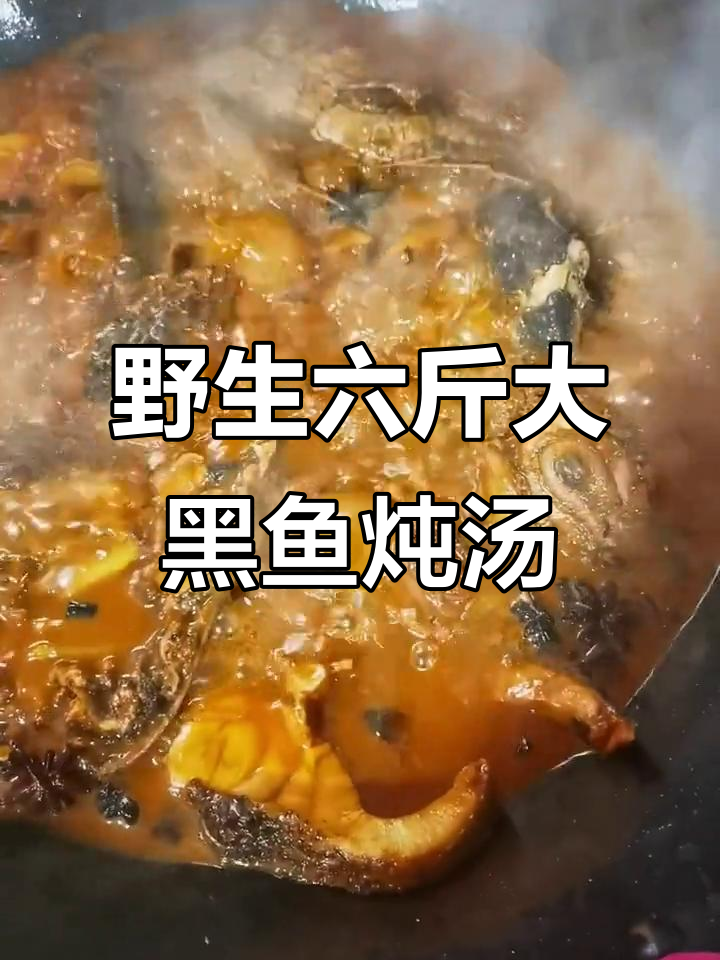 六斤大黑鱼炖汤,满满一桌美味等着你