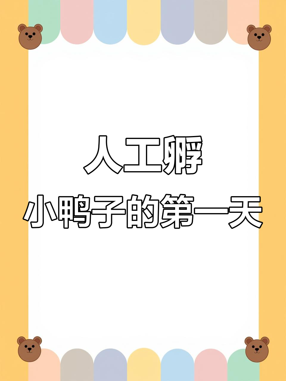小鸭子孵化全过程,见证生命的奇迹时刻