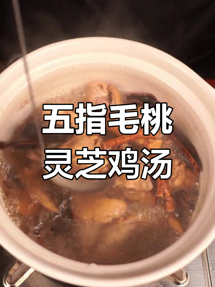 夏日养生汤:五指毛桃灵芝炖鸡,解暑安神