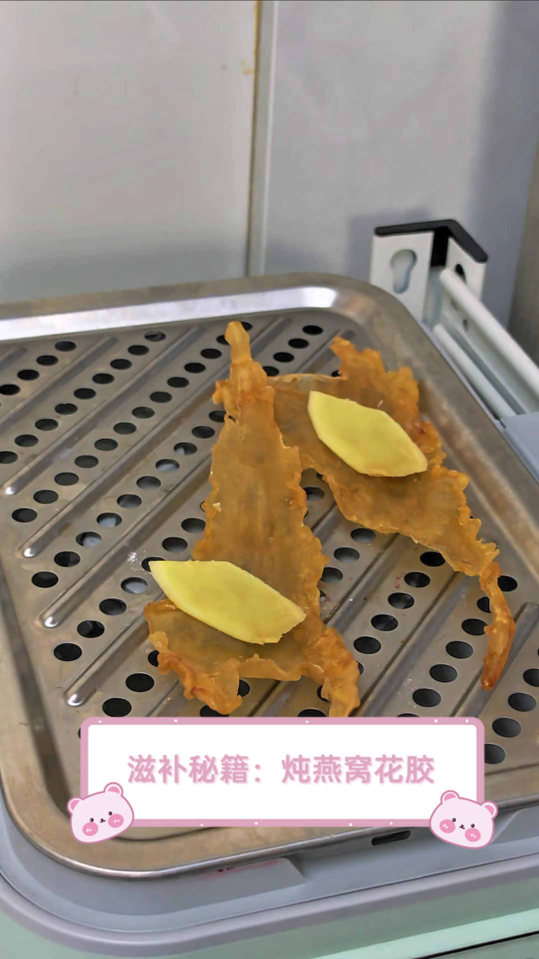 滋补秘籍：炖燕窝花胶