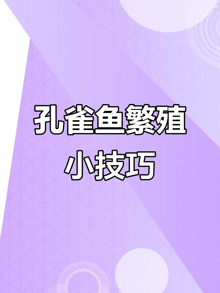 用矿泉水瓶做孔雀鱼孵化盒,简单又实用