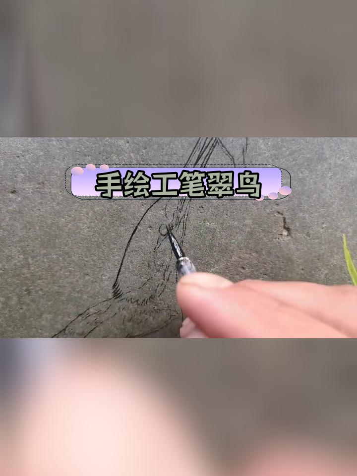 石头上的翠鸟捕鱼,动态画面美不胜收