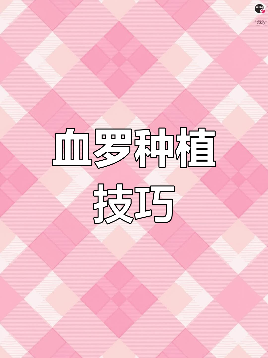 血色罗密欧多肉养护全攻略