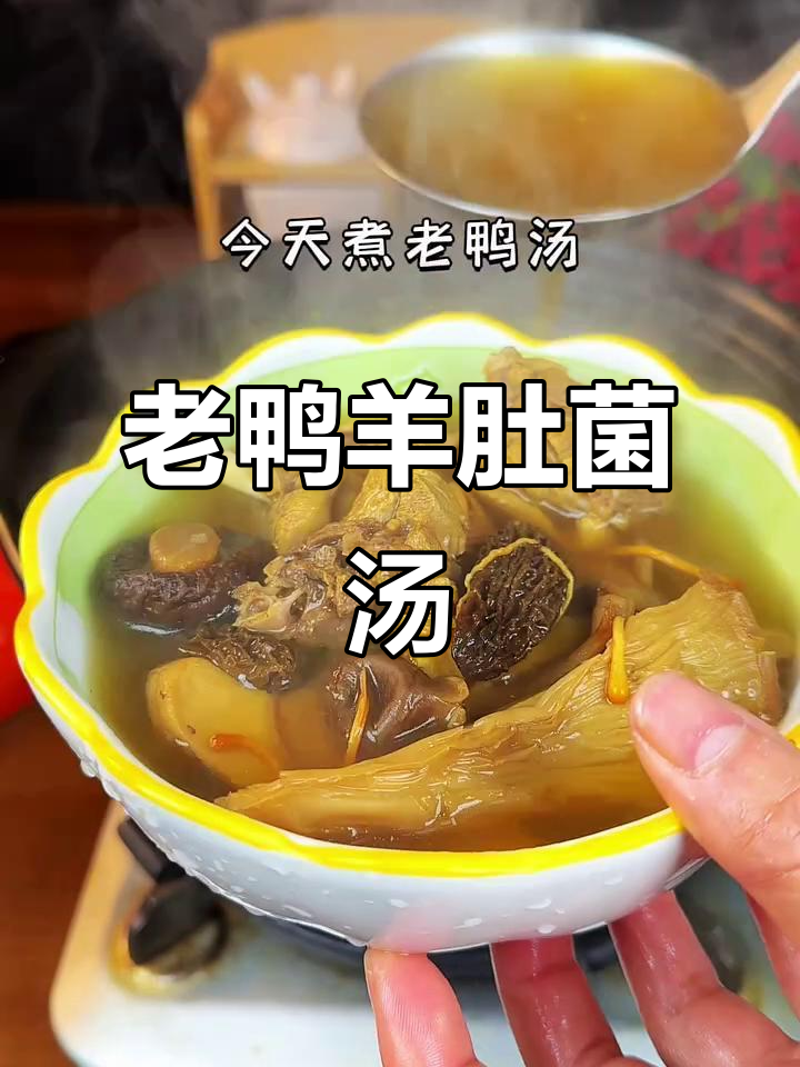 冬季暖心汤,老鸭羊肚菌煲法超简单