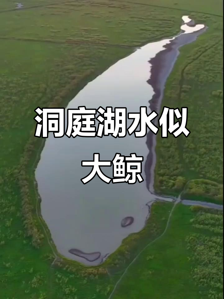 洞庭湖枯水季节惊现神秘“鲸鱼”,寓意何在?