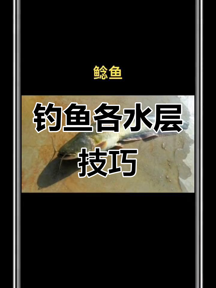 野钓全攻略:从泉水到黄鳝,各种鱼层分布解析