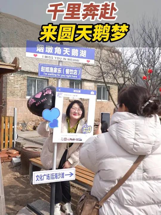 3月7日,山东威海。河南游客赴烟墩角村赏景,萌态十足的大天鹅惹人喜爱