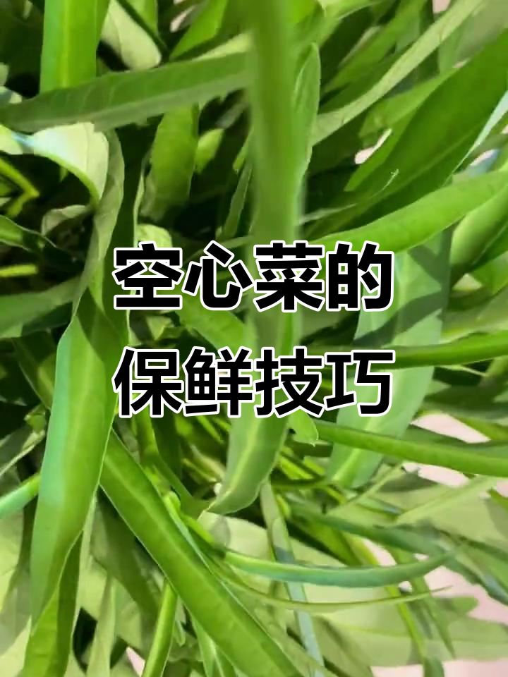 空心菜不放冰箱,一周新鲜如初的保存方法