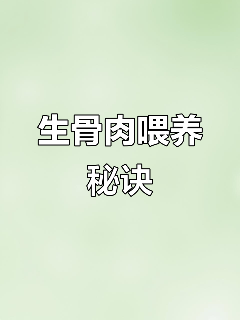 每天给猫咪吃生肉,营养又美味,告别干涩猫粮!