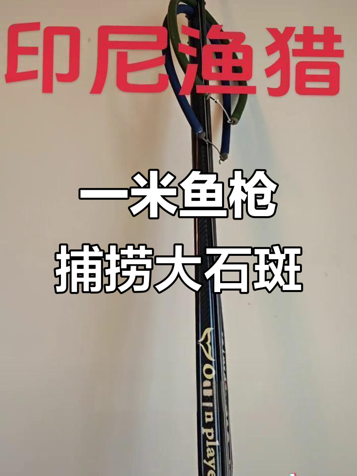 印尼渔猎之旅：一米弹道鱼枪挑战大石斑