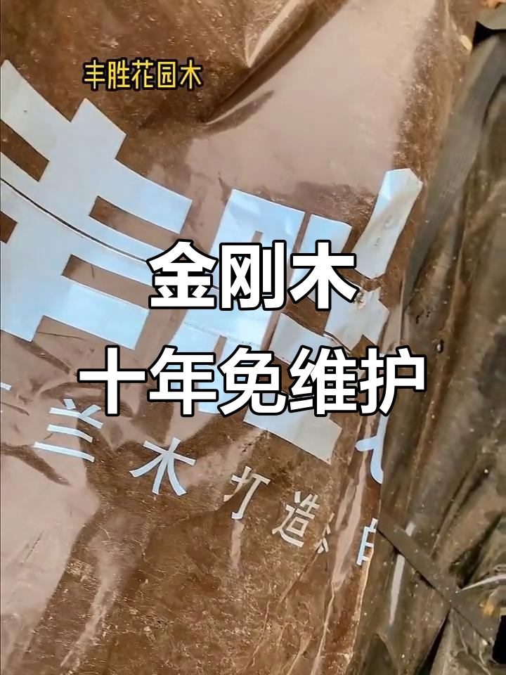 十年不腐的神奇木头,竟是芬兰金刚木打造!