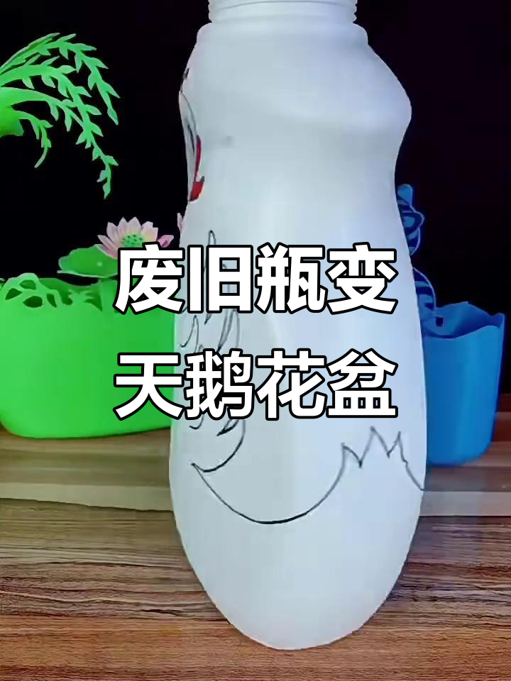 利用洗衣液瓶子DIY天鹅花盆,简单又有趣