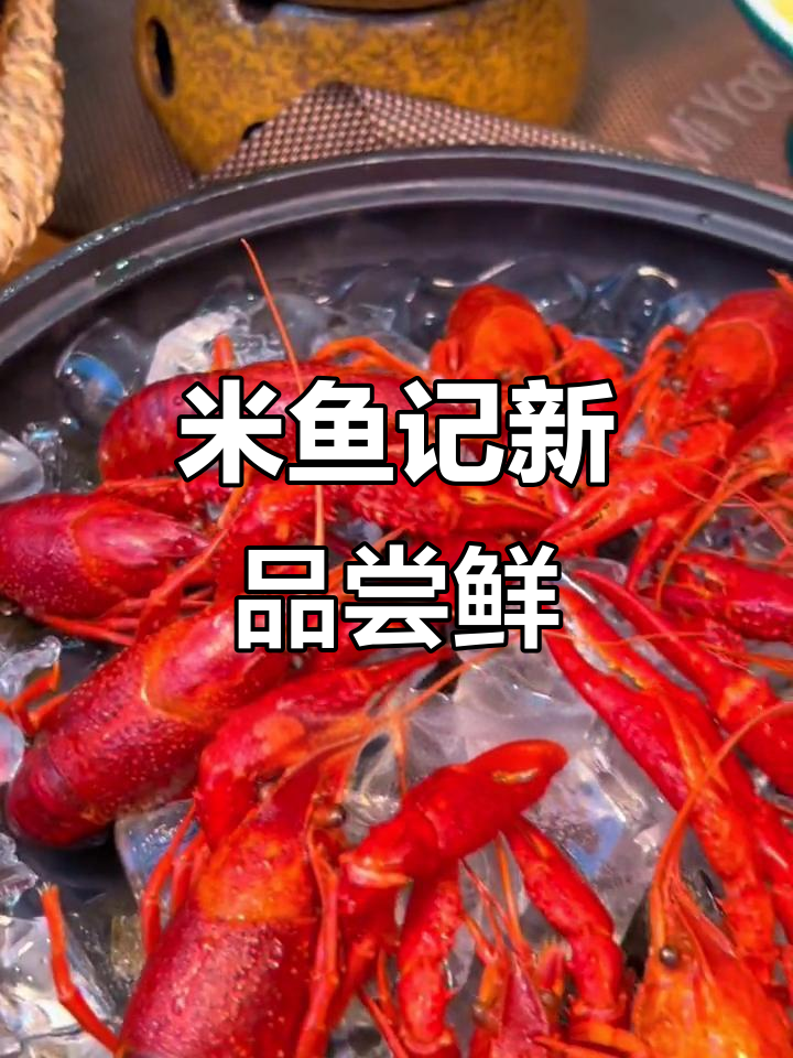 米鱼记新品尝鲜