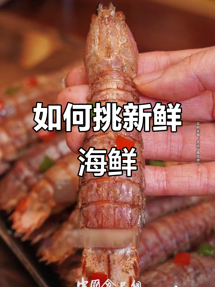 选海鲜不踩坑!教你挑选新鲜螃蟹、虾和鱿鱼