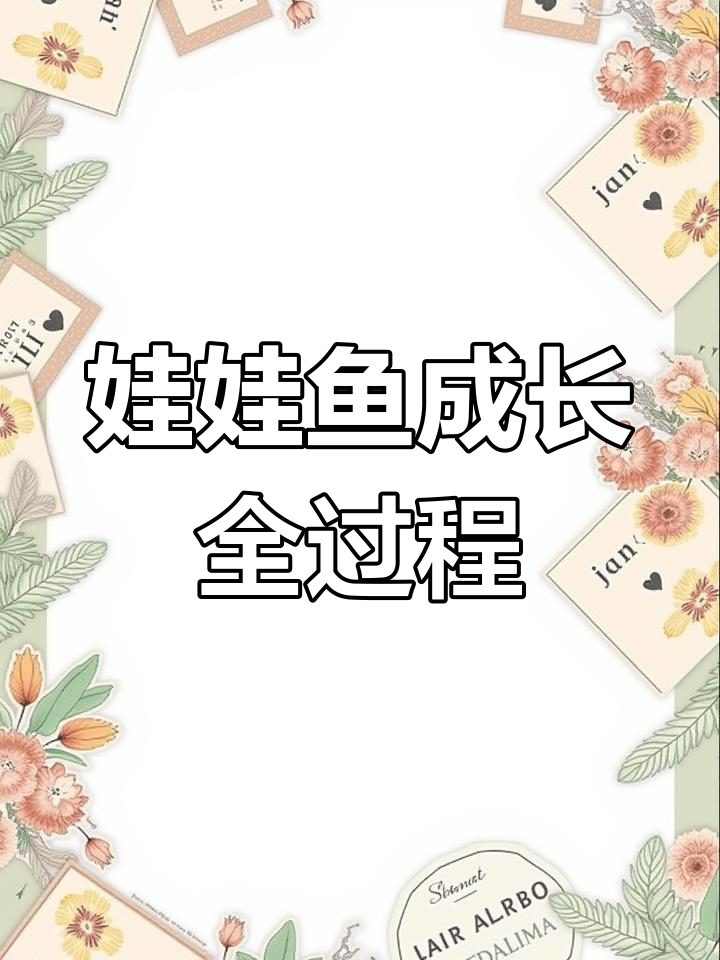 娃娃鱼的生长过程揭秘