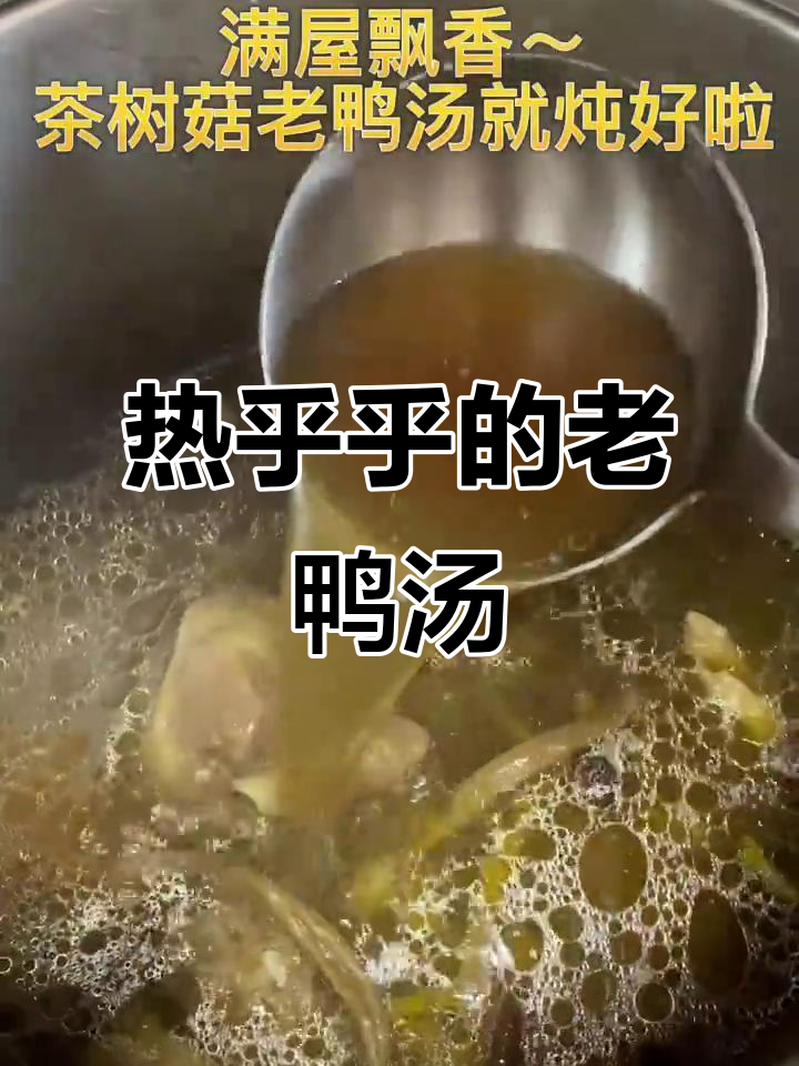 谁能抗拒这碗热腾腾的茶树菇老鸭汤?