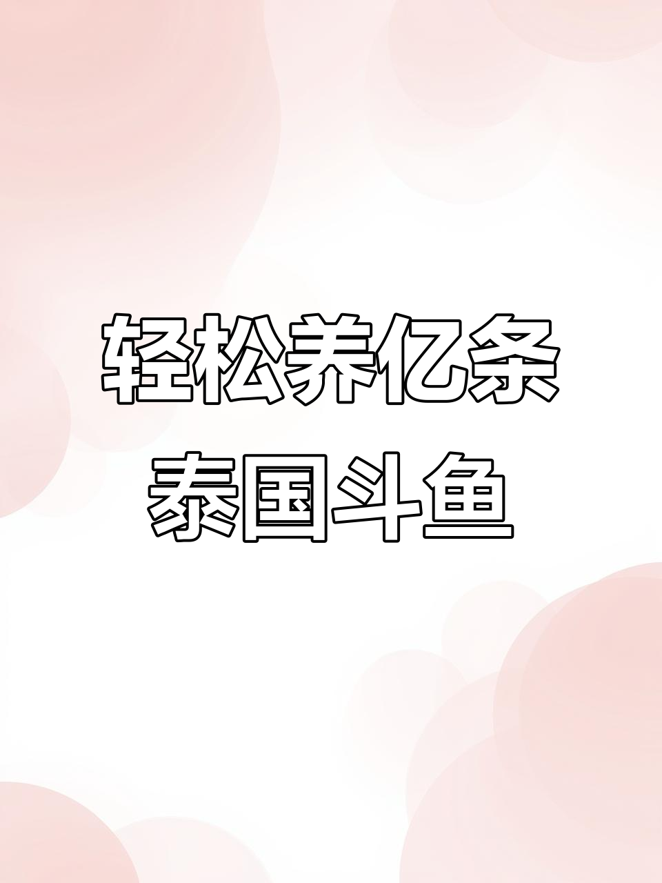 鱼霸带娃全程记录,泰国斗鱼繁殖大揭秘