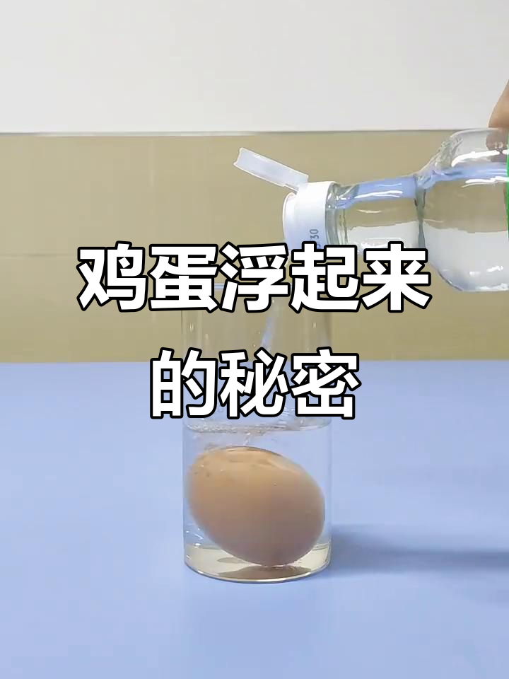 醋让鸡蛋浮起来,原理竟然是这样