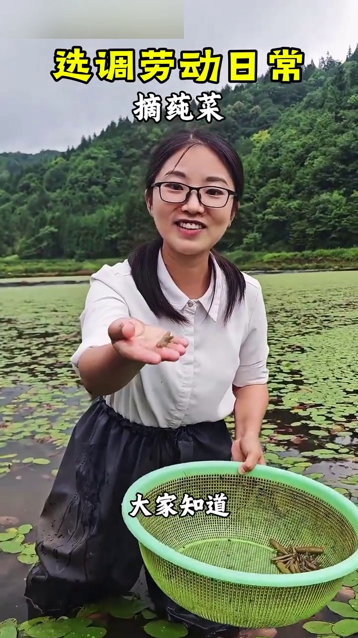 新手摘莼菜，无他，惟手熟尔