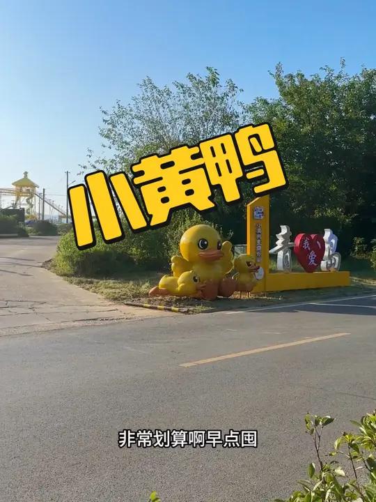小黄鸭主题乐园预售,亲子票49.9,赶紧囤!亲子游玩好去处 小黄鸭主题儿童乐园