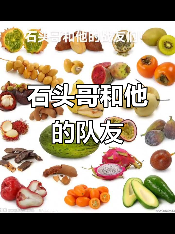 石头哥与战友们的精彩瞬间,看他们如何配合默契!