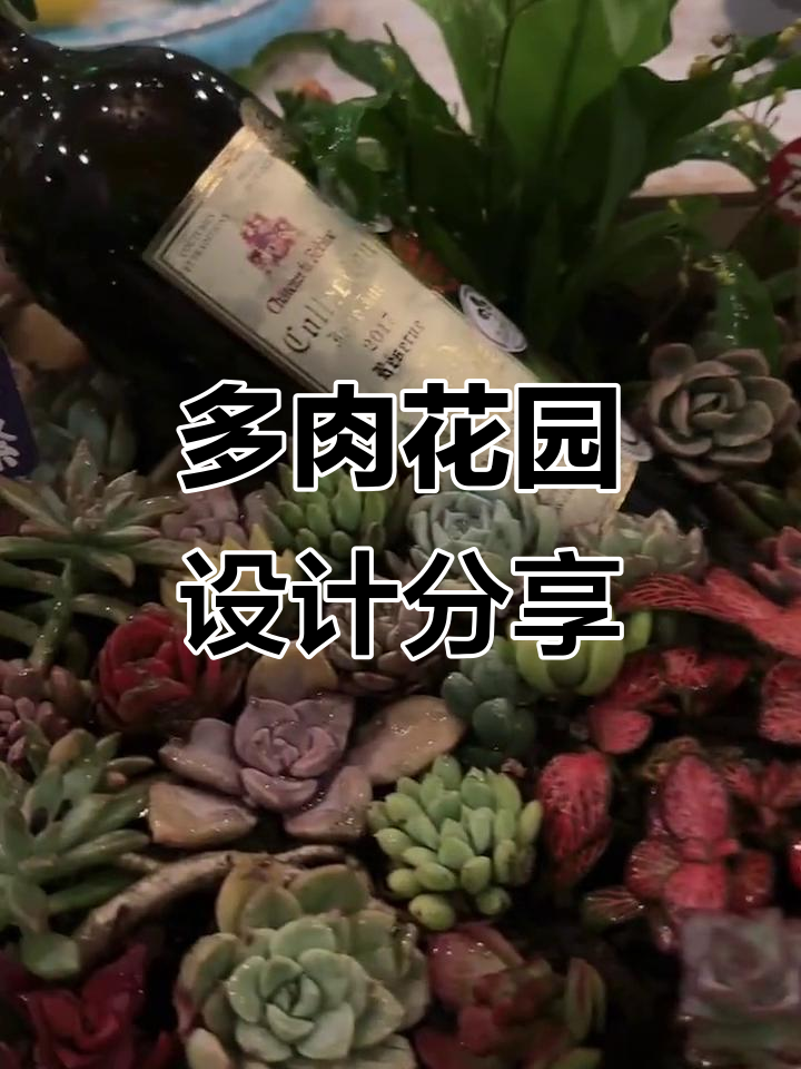 我的多肉花园设计，你喜欢吗？