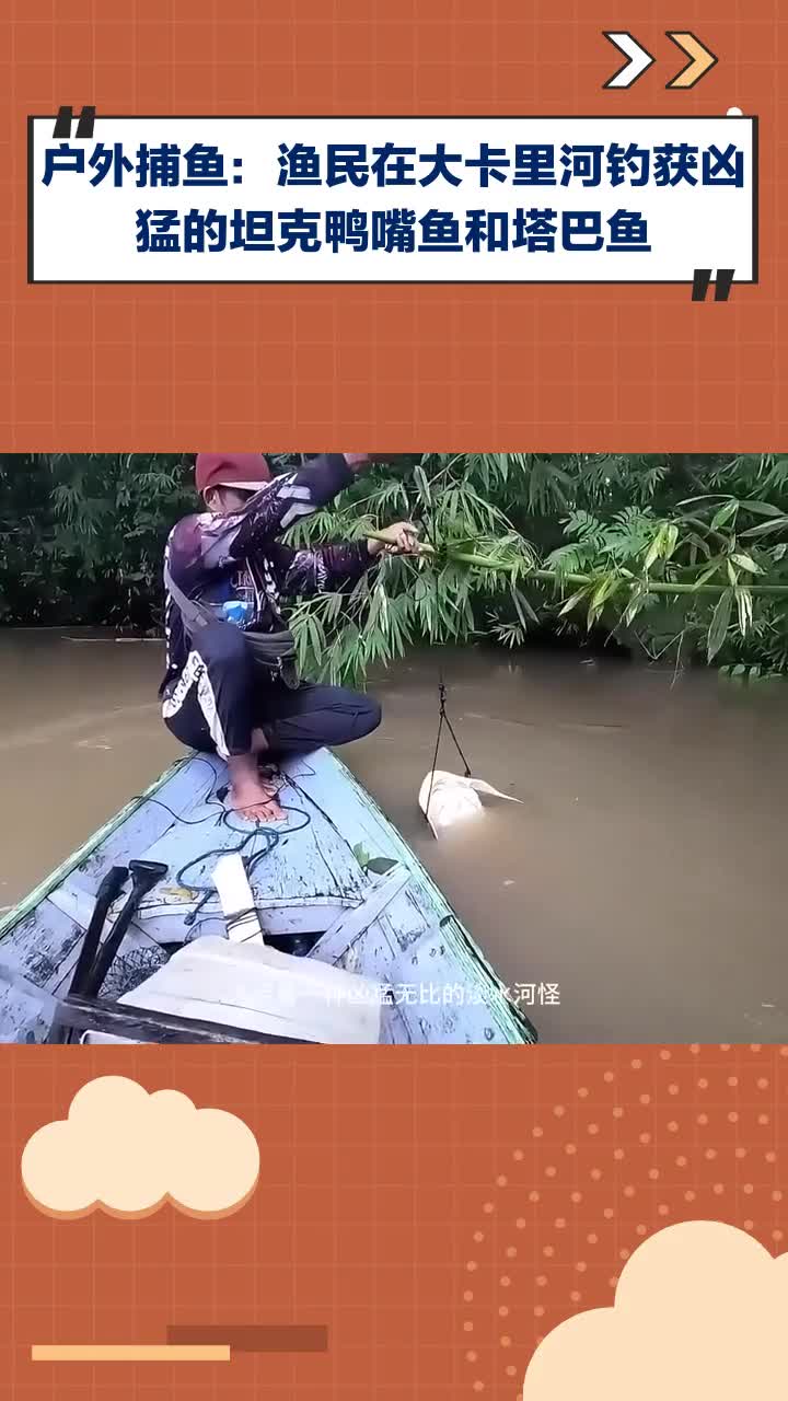 户外捕鱼！渔民在大卡里河钓获凶猛坦克鸭嘴鱼和塔巴鱼