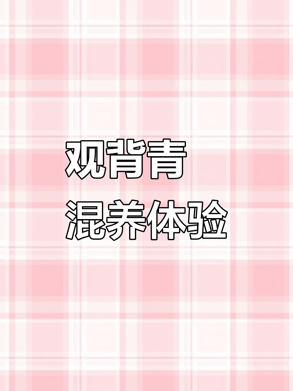 观背青鳉与白云金丝、黄金丝混养，鱼缸造景大挑战！