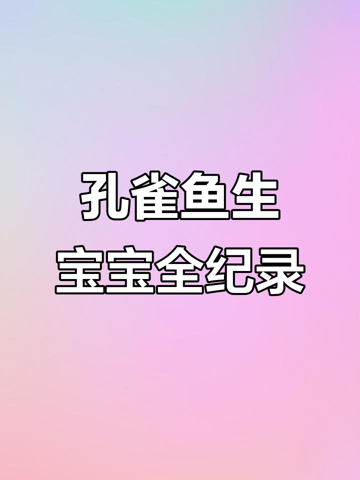 折扇孔雀鱼下小鱼全过程,母子分离与护理技巧