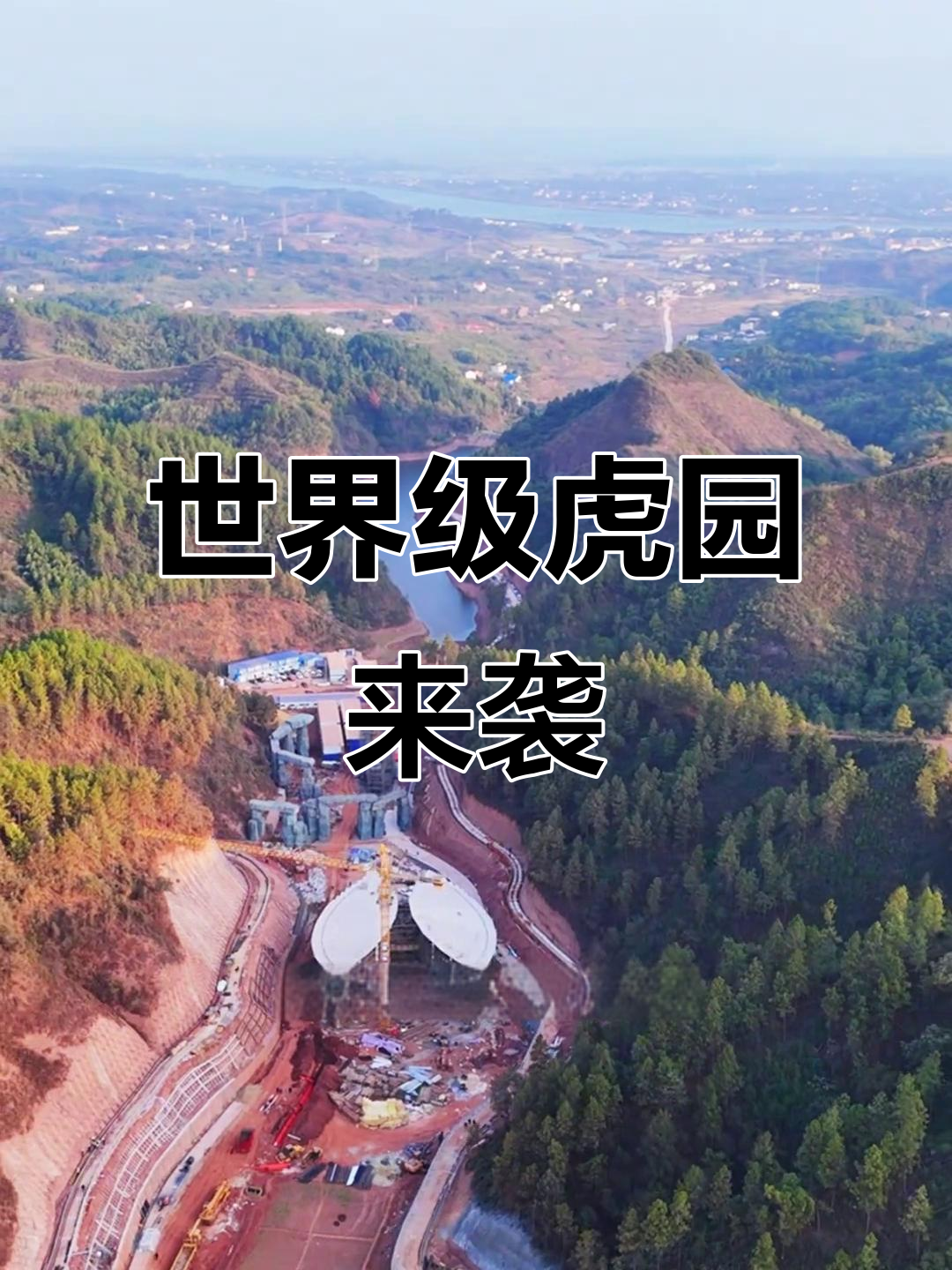 衡阳将建全球最大老虎园,2025年开放,你期待吗?
